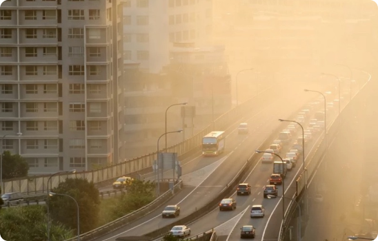 India accounts for 13 of the world's top 20 polluted cities