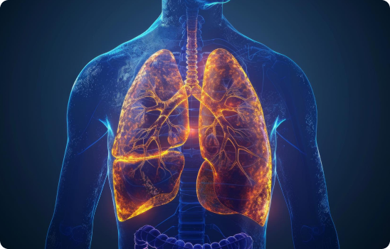 Among healthy, non-smoking populations, Indians demonstrate approximately 30% lower lung capacity as compared to Europeans and North Americans