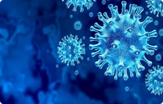 Biological pollutants – mold, dust mites, allergens spreading silently.